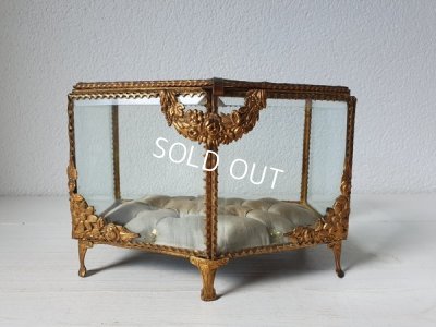 画像12: グローブドマリエガラスケース