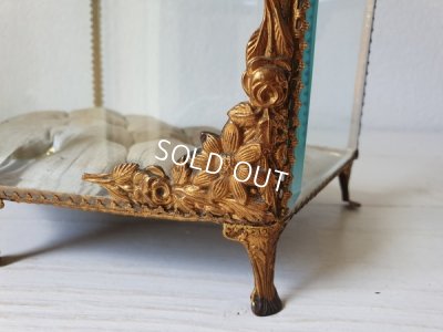 画像15: グローブドマリエガラスケース