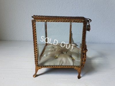 画像13: グローブドマリエガラスケース