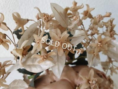 画像10: アンティ―クグローブドマリエガラスケース