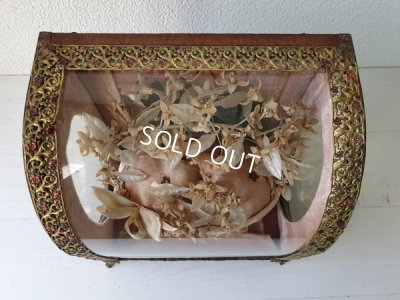 画像6: アンティ―クグローブドマリエガラスケース