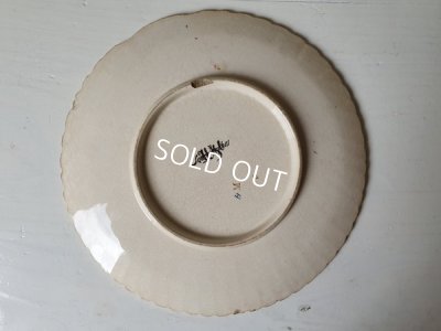 画像9: サルグミンヌローズ柄プレート