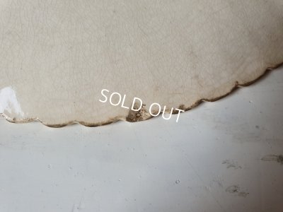 画像11: サルグミンヌローズ柄プレート