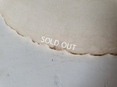 画像13: サルグミンヌローズ柄プレート