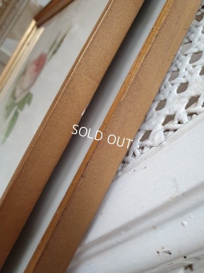 画像14: ルドゥーテローズ画セット