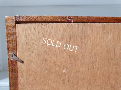 画像19: アンティ―クグローブドマリエガラスケース