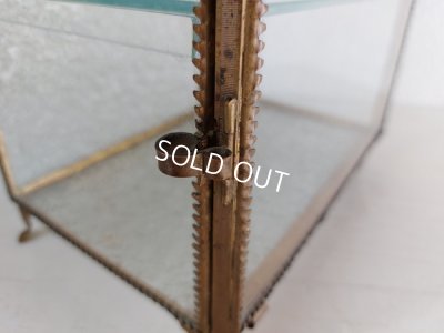 画像8: アンティークグローブドマリエガラスケース　