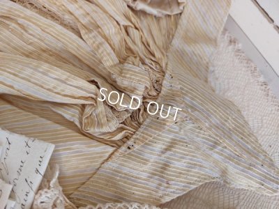 画像6: ガラスケース付ヴィクトリアンボディス