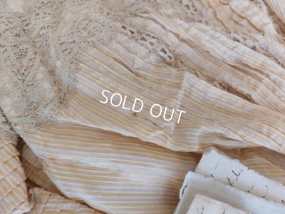 画像7: ガラスケース付ヴィクトリアンボディス