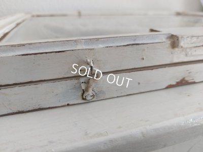 画像16: ガラスケース付ヴィクトリアンボディス