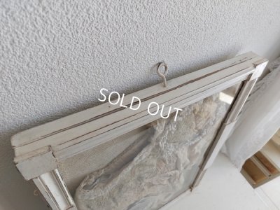 画像19: ガラスケース付ヴィクトリアンボディス