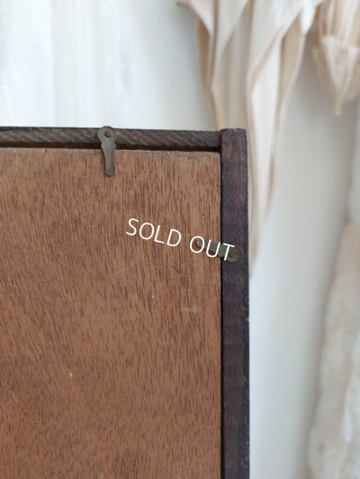 画像8: グローブドマリエガラスケース