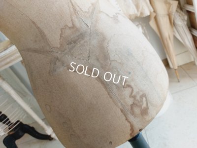 画像14: Ransquin Parisチャイルドトルソー