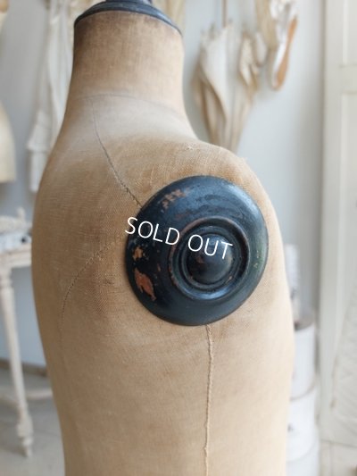 画像9: STOCKMANチャイルドトルソー