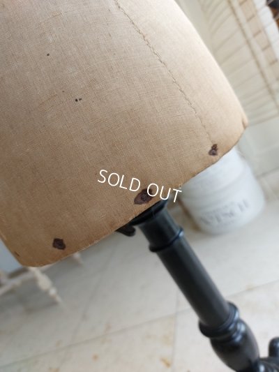 画像10: STOCKMANチャイルドトルソー