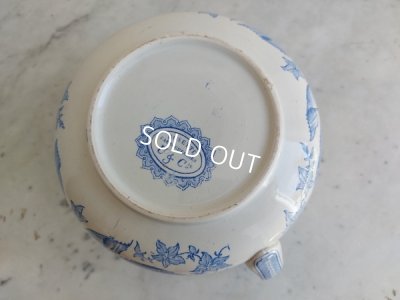 画像12: サルグミンヌ U&C ロゼットリボン柄ワーターピッチャー