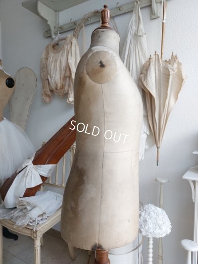 画像6: ストックマンチャイルドトルソー