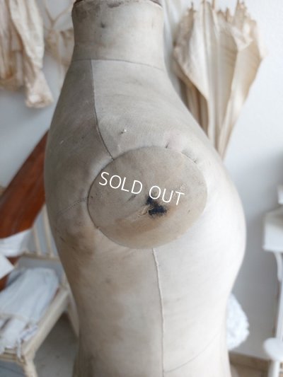 画像13: ストックマンチャイルドトルソー