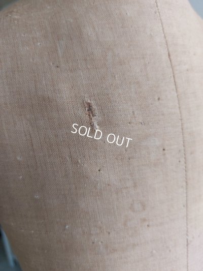 画像15: アンティークチャイルドトルソー