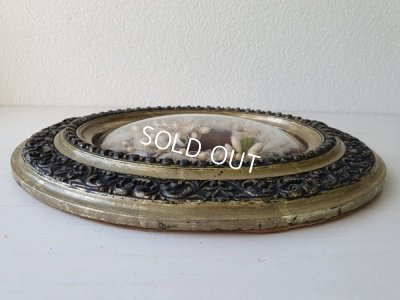 画像13: グローブドマリエワックスフラワー付ボウルガラスフレーム