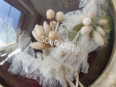 画像11: グローブドマリエワックスフラワー付ボウルガラスフレーム