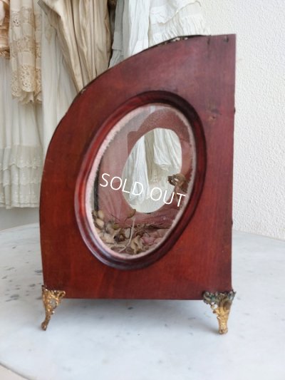 画像8: グローブドマリエガラスケース