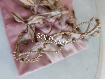 画像16: グローブドマリエガラスケース