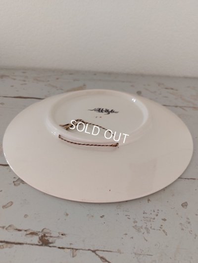 画像11: Froment Richard サルグミンヌ絵皿