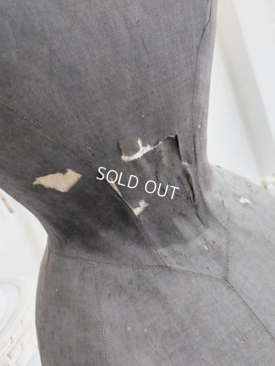 画像34: ドレス付きヴィクトリアントルソー