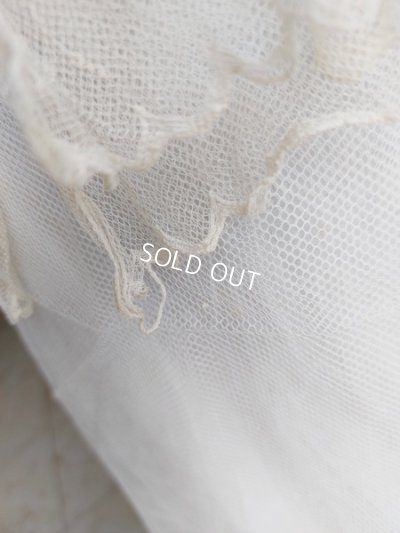 画像22: ドレス付きヴィクトリアントルソー