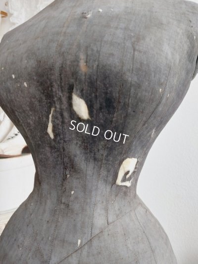 画像46: ドレス付きヴィクトリアントルソー