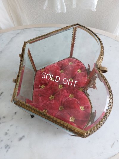 画像11: グローブドマリエガラスケース