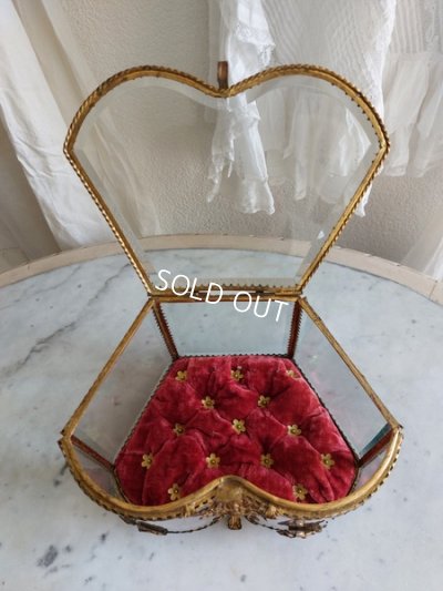 画像12: グローブドマリエガラスケース