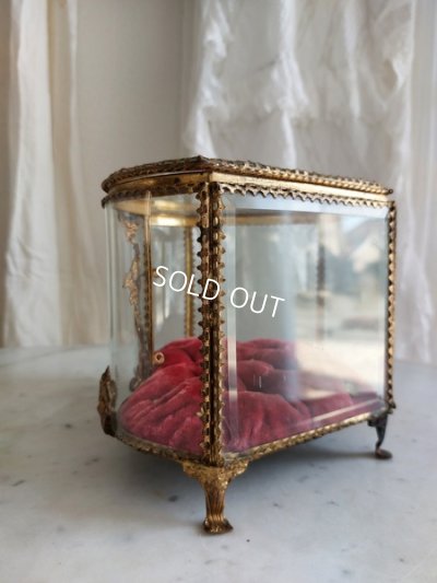 画像3: グローブドマリエガラスケース