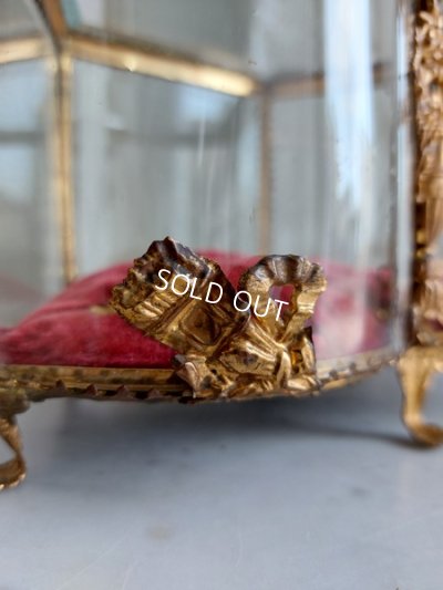 画像8: グローブドマリエガラスケース