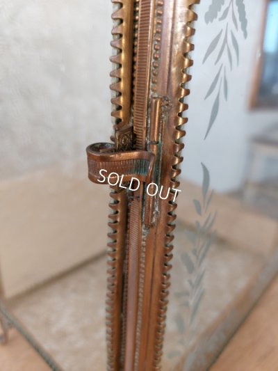 画像8: アンティークグローブドマリエガラスケース