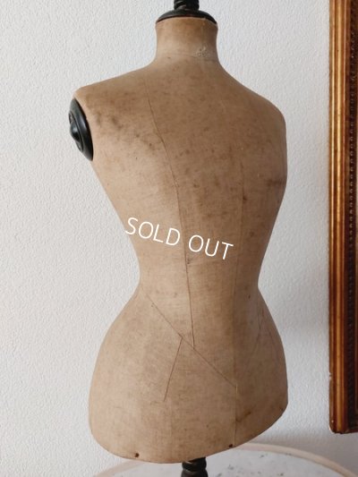 画像7: アンティークカウンタートルソー