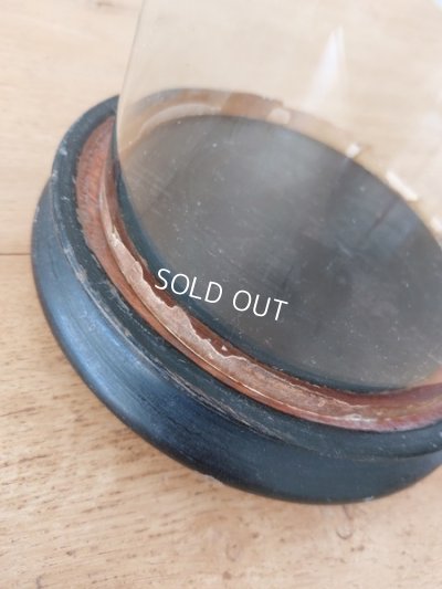 画像10: アンティークガラスドーム