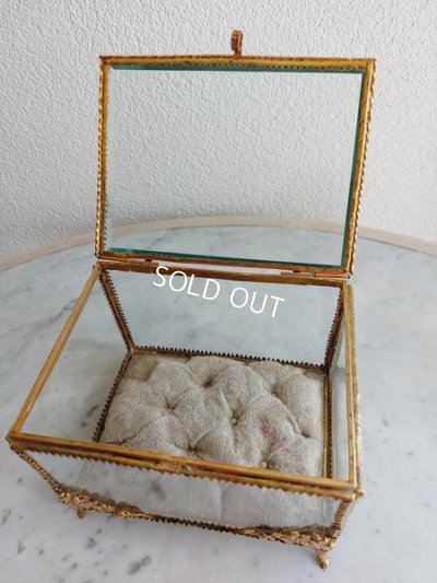 画像11: グローブドマリエガラスケース