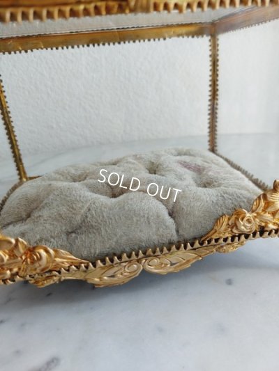 画像13: グローブドマリエガラスケース