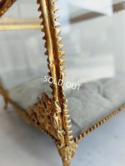 画像16: グローブドマリエガラスケース