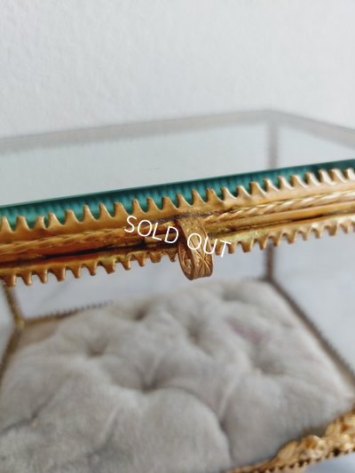 画像8: グローブドマリエガラスケース