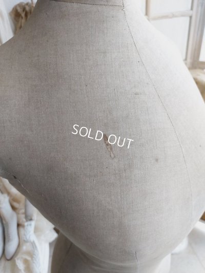 画像21: Stockmanアンティークトルソー