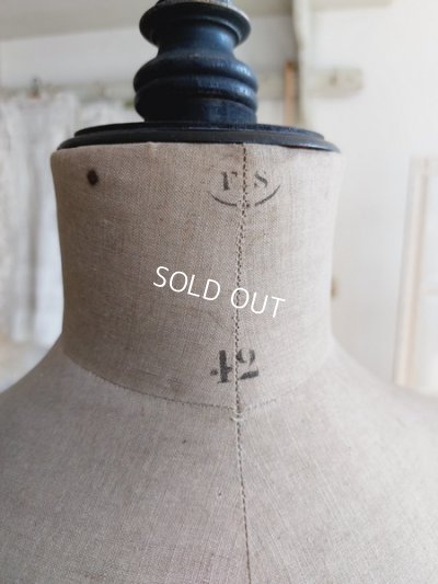 画像14: Stockmanアンティークトルソー