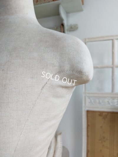 画像11: Stockmanアンティークトルソー