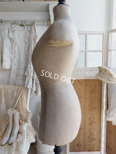 画像4: Stockmanアンティークトルソー