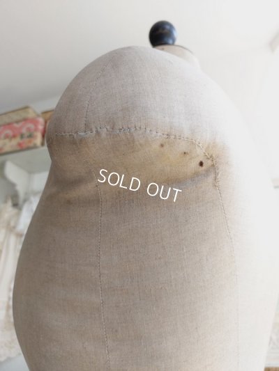 画像10: Stockmanアンティークトルソー