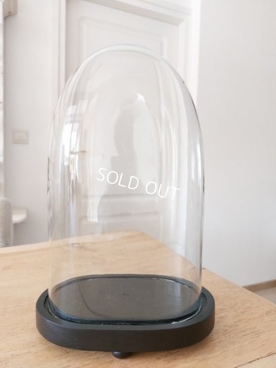 画像4: アンティークオーヴァルガラスドーム