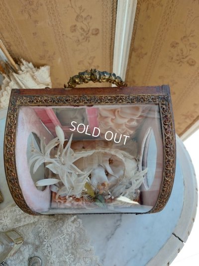 画像5: グローブドマリエガラスケース