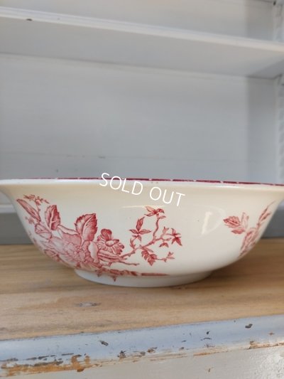 画像8: Eglantineジアン窯ベイスン